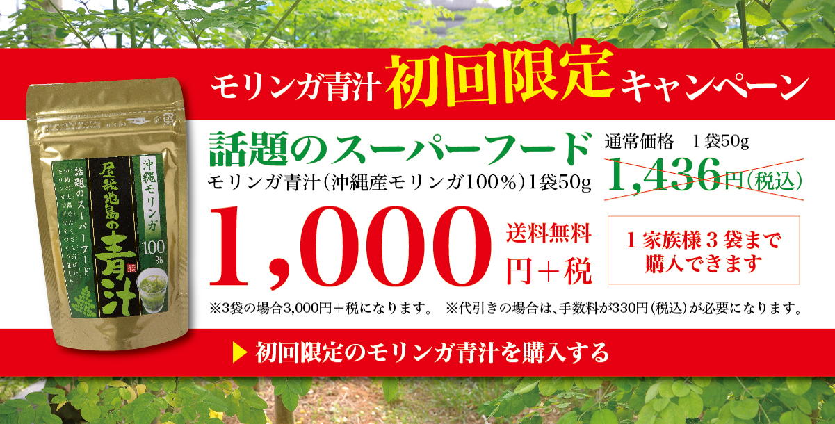 屋我地島のモリンガ 初回限定 1家族様3袋迄 沖縄モリンガ100 屋我地島の青汁 粉末50ｇ 株式会社沖縄ベルク公式ネットショップ 沖縄屋我地島から健康食品を